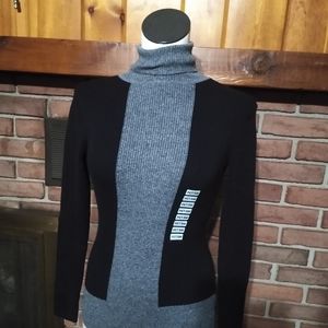Style & Co petite turtle neck